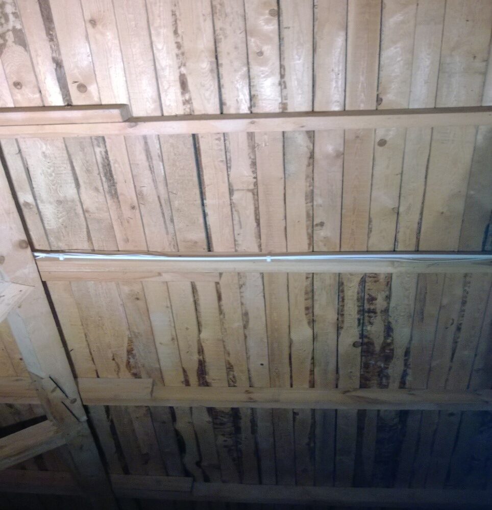 Odgrzybianie drewnianej konstrukcji w budynku
