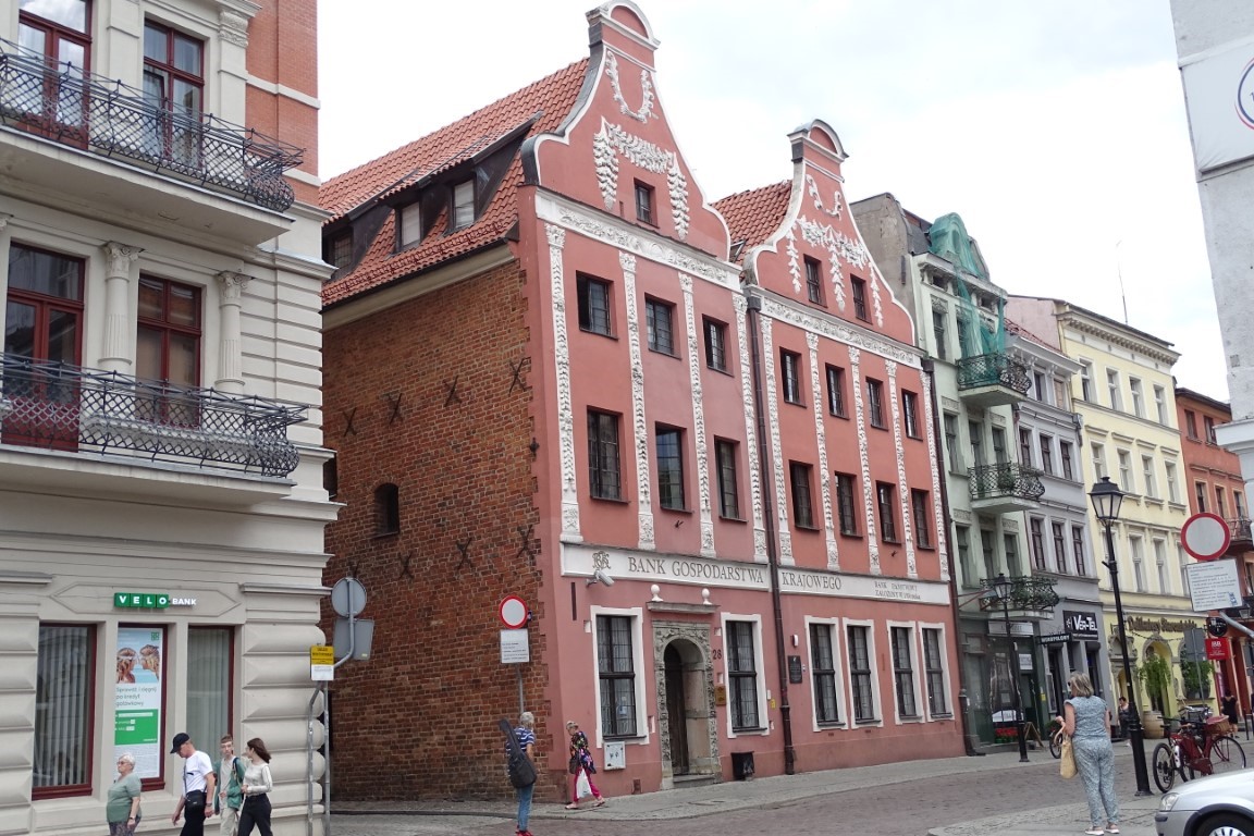 Opinia mykologiczna zawilgocenia ścian - Toruń