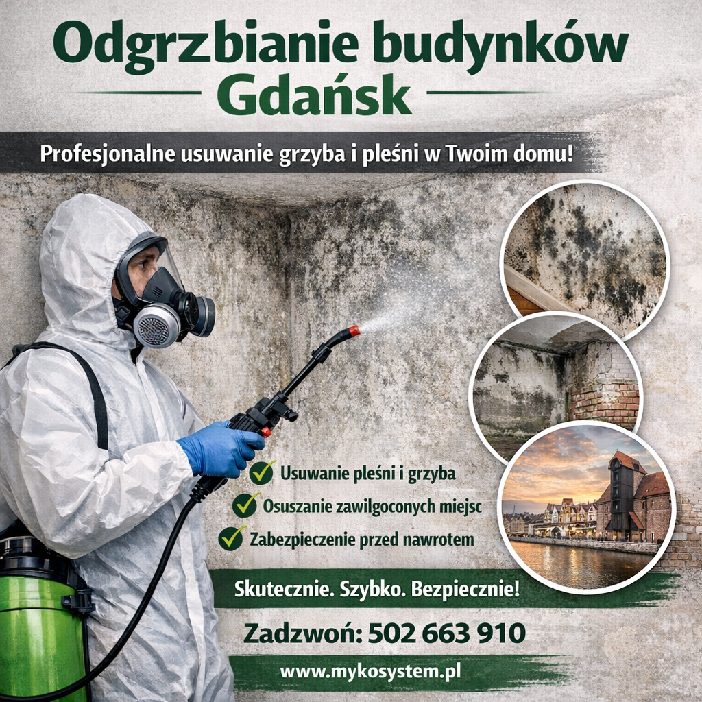 odgrzybianie-budynkow-Gdansk