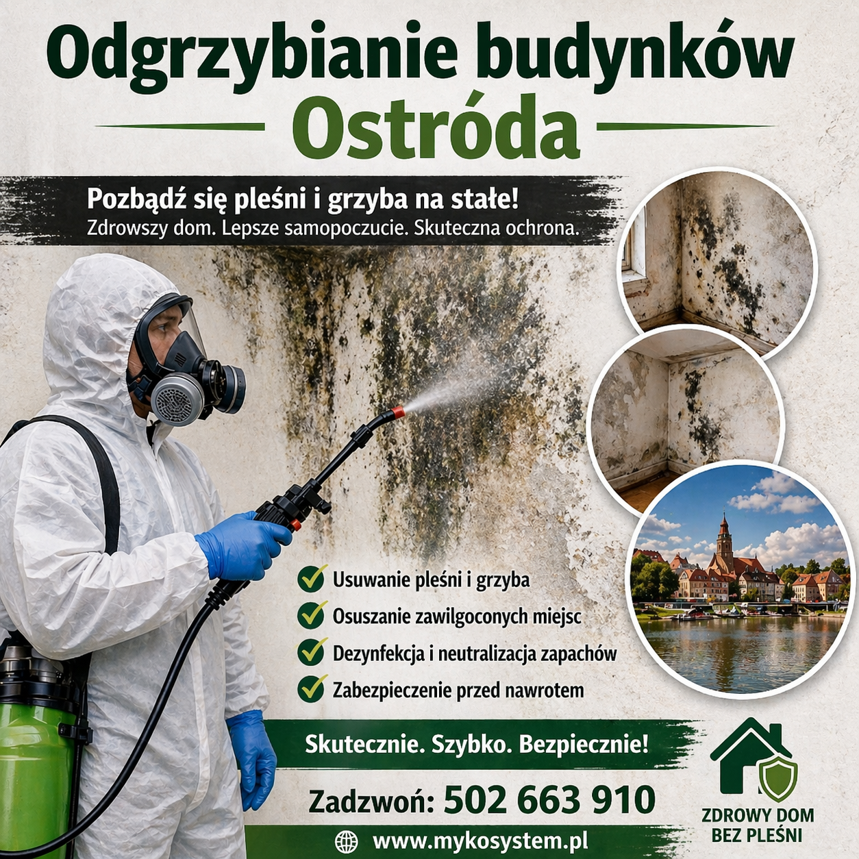 odgrzybianie-budynkow-Ostroda
